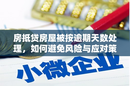 玛纳斯房抵贷房屋被按逾期天数处理，如何避免风险与应对策略